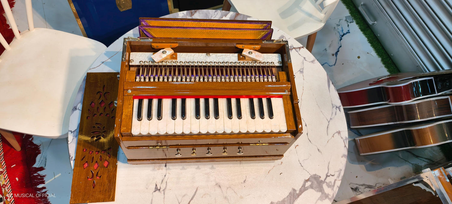 MINI HARMONIUM 2LINE Professional model standing body teakwood body glossy finish