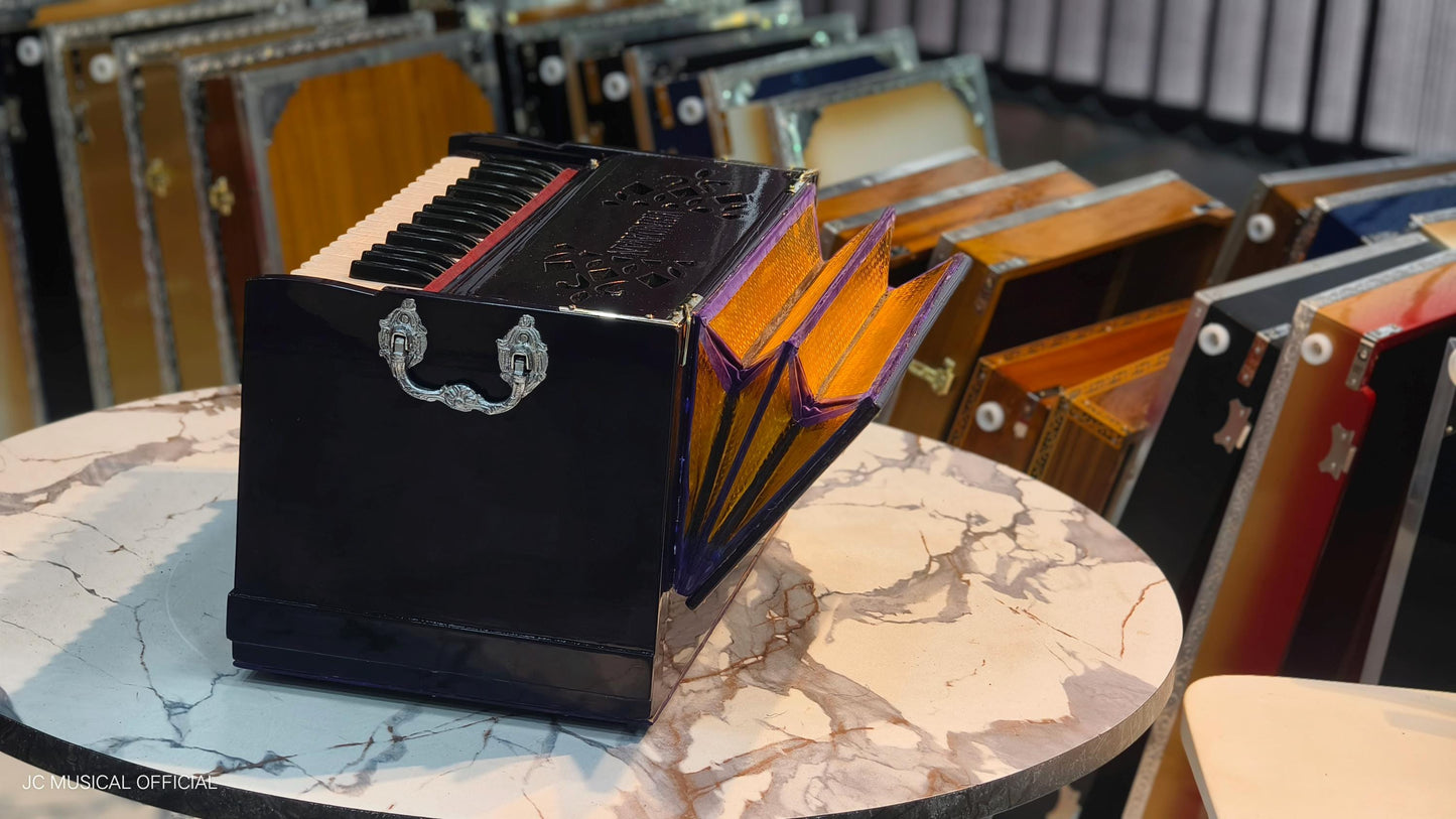 2LINE MINI HARMONIUM professional non folding type standing body