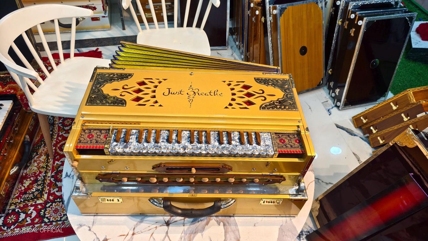4line 13scale LIMITED GOLDEN EDITION