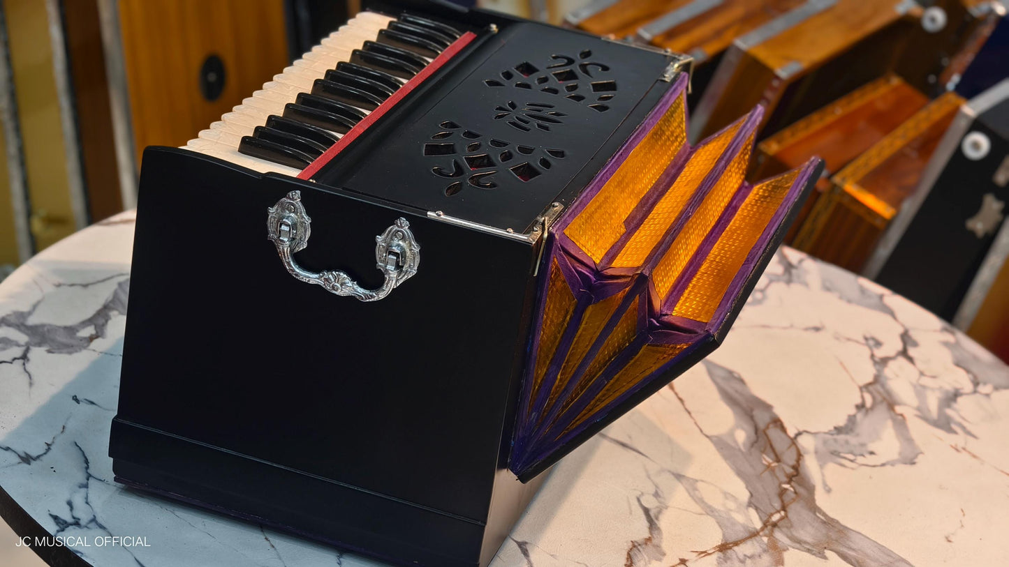 2LINE MINI HARMONIUM professional non folding type standing body