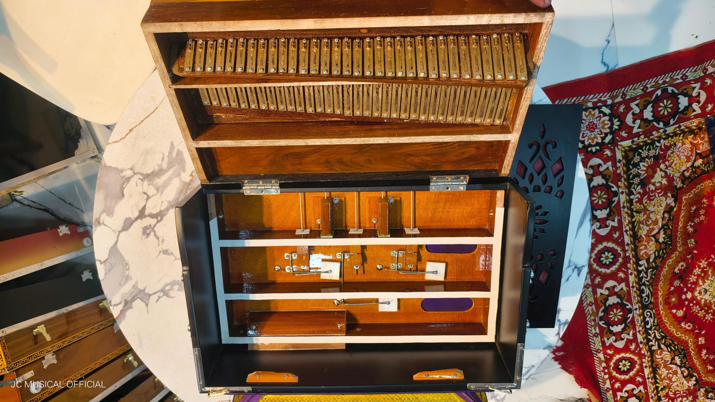 2LINE MINI HARMONIUM professional non folding type standing body