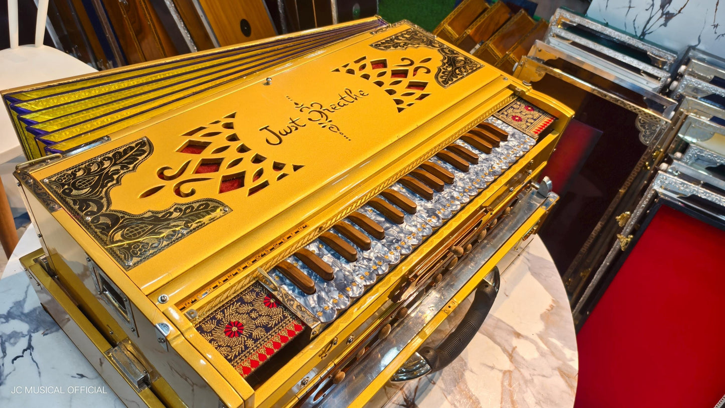 4line 13scale LIMITED GOLDEN EDITION