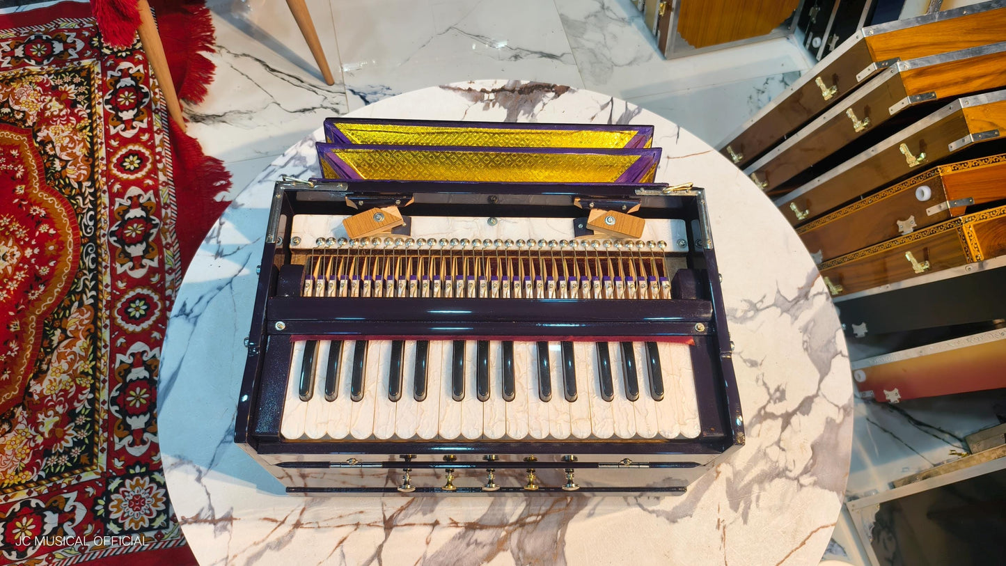 2LINE MINI HARMONIUM professional non folding type standing body