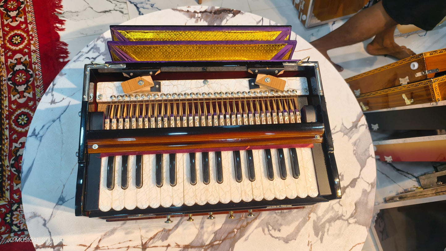 2LINE MINI HARMONIUM Sunbrast colour professional non folding type standing body
