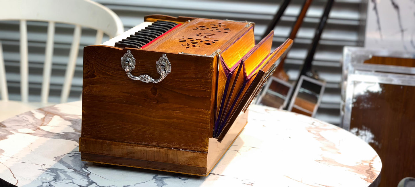 MINI HARMONIUM 2LINE Professional model standing body teakwood body glossy finish