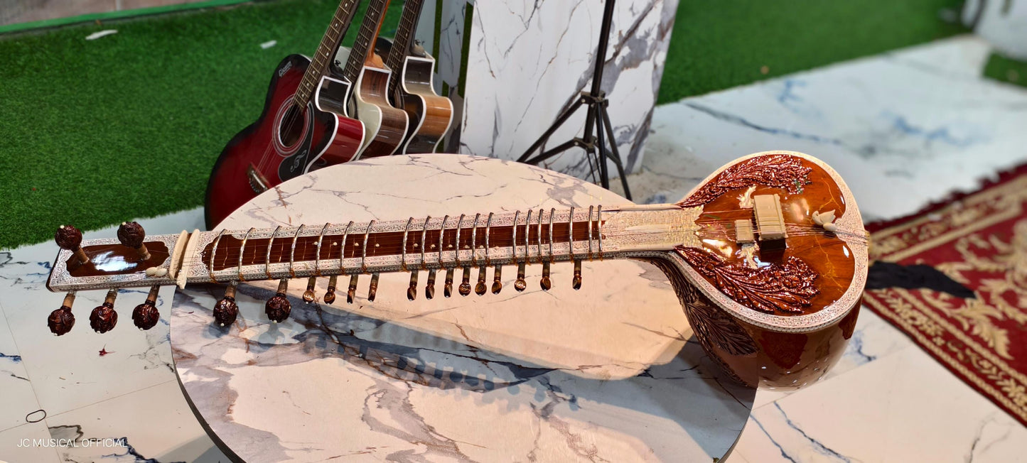 SITAR PROFESSIONAL RAVISHANKAR Style