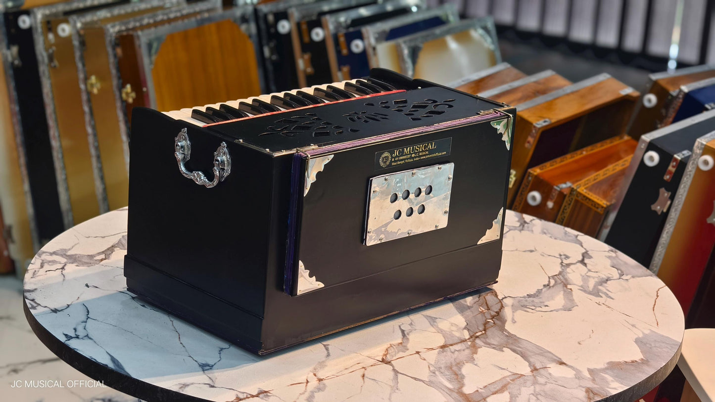 2LINE MINI HARMONIUM professional non folding type standing body