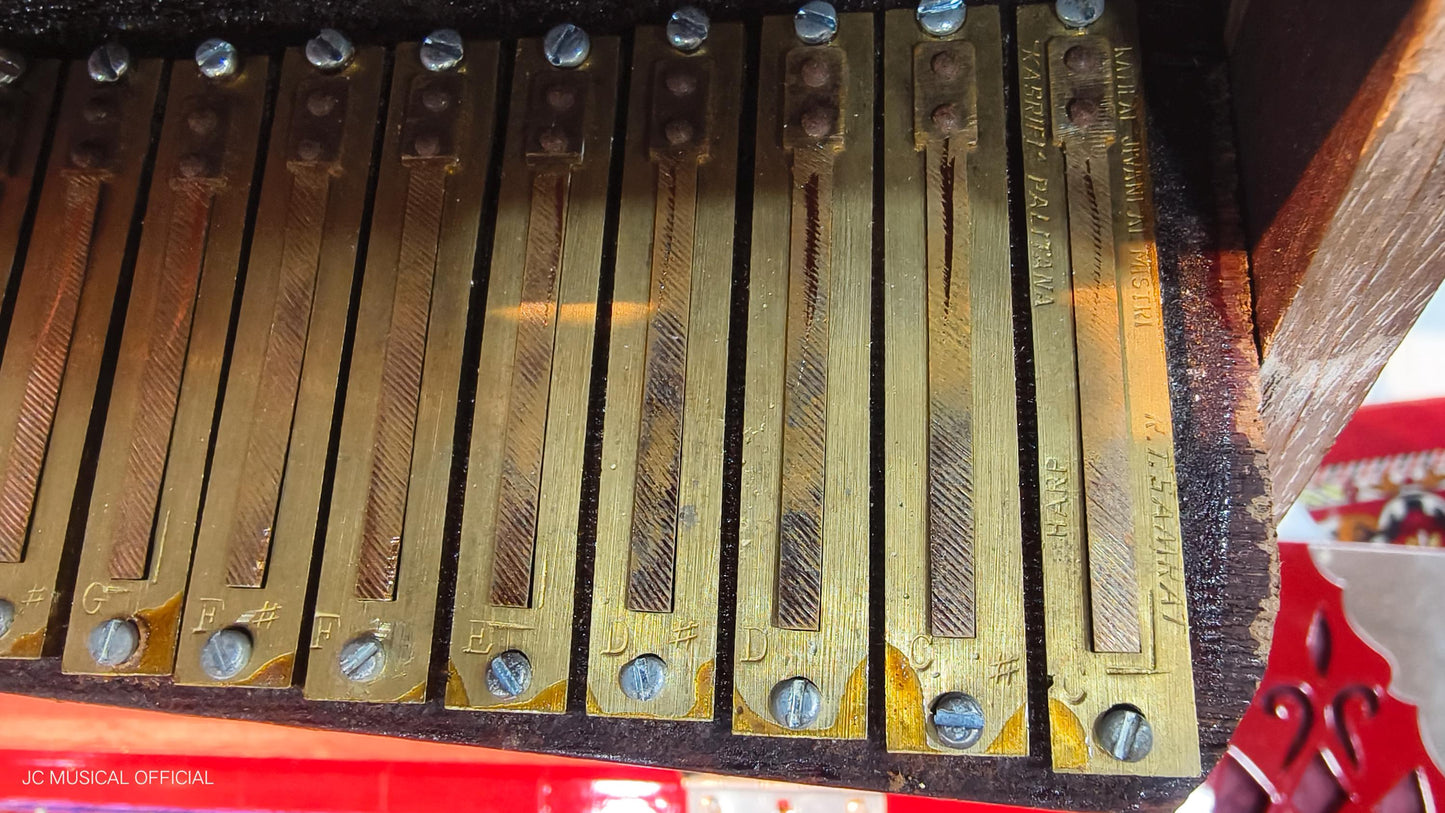 2line Harnonium RED BEAUTY premium segment