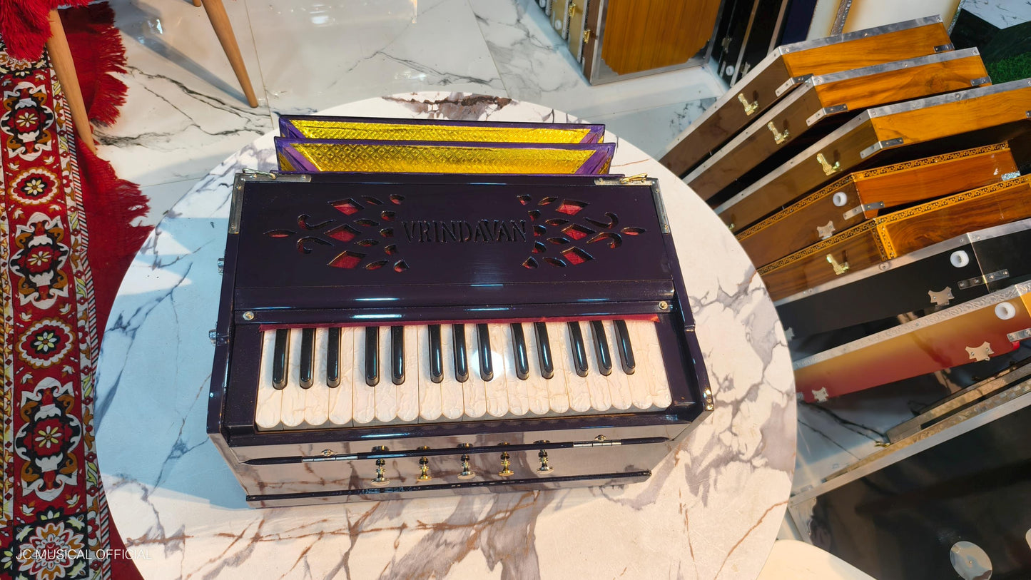 2LINE MINI HARMONIUM professional non folding type standing body