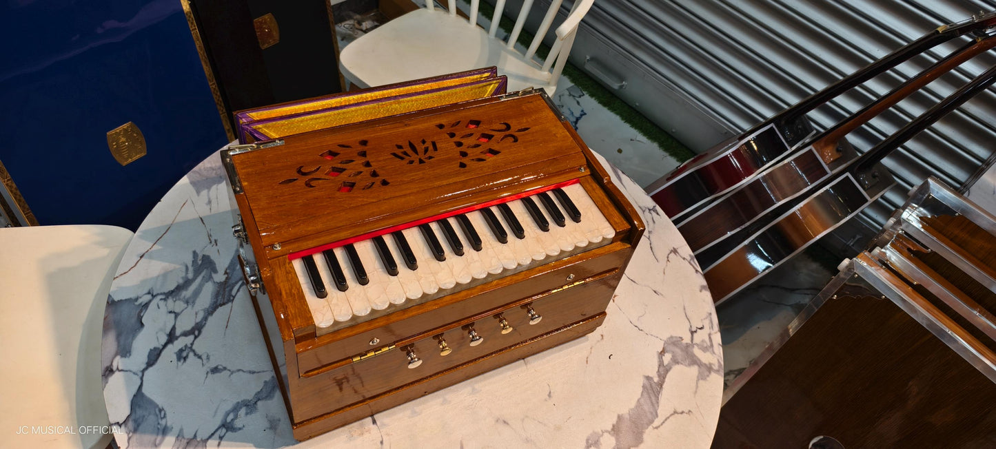MINI HARMONIUM 2LINE Professional model standing body teakwood body glossy finish
