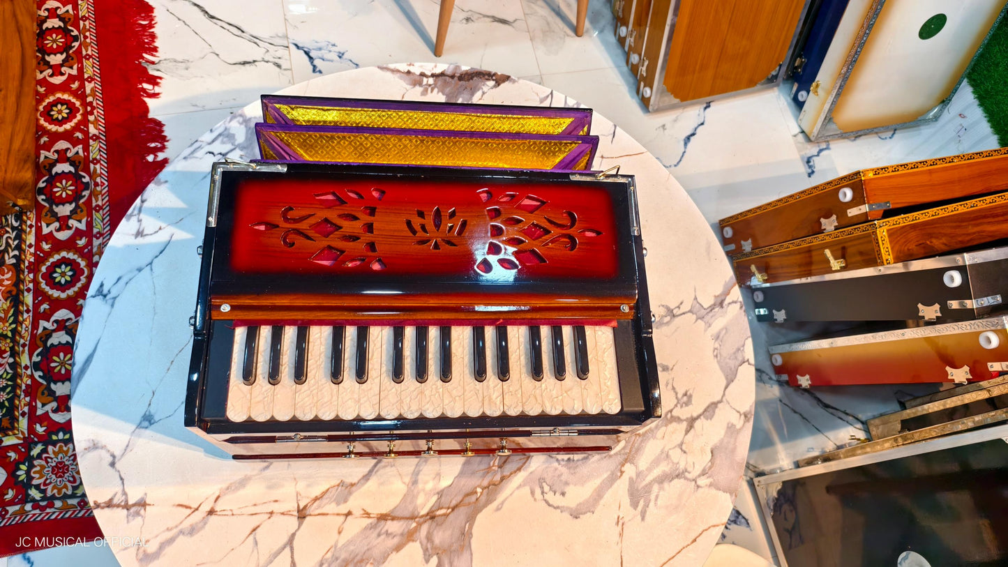 2LINE MINI HARMONIUM Sunbrast colour professional non folding type standing body