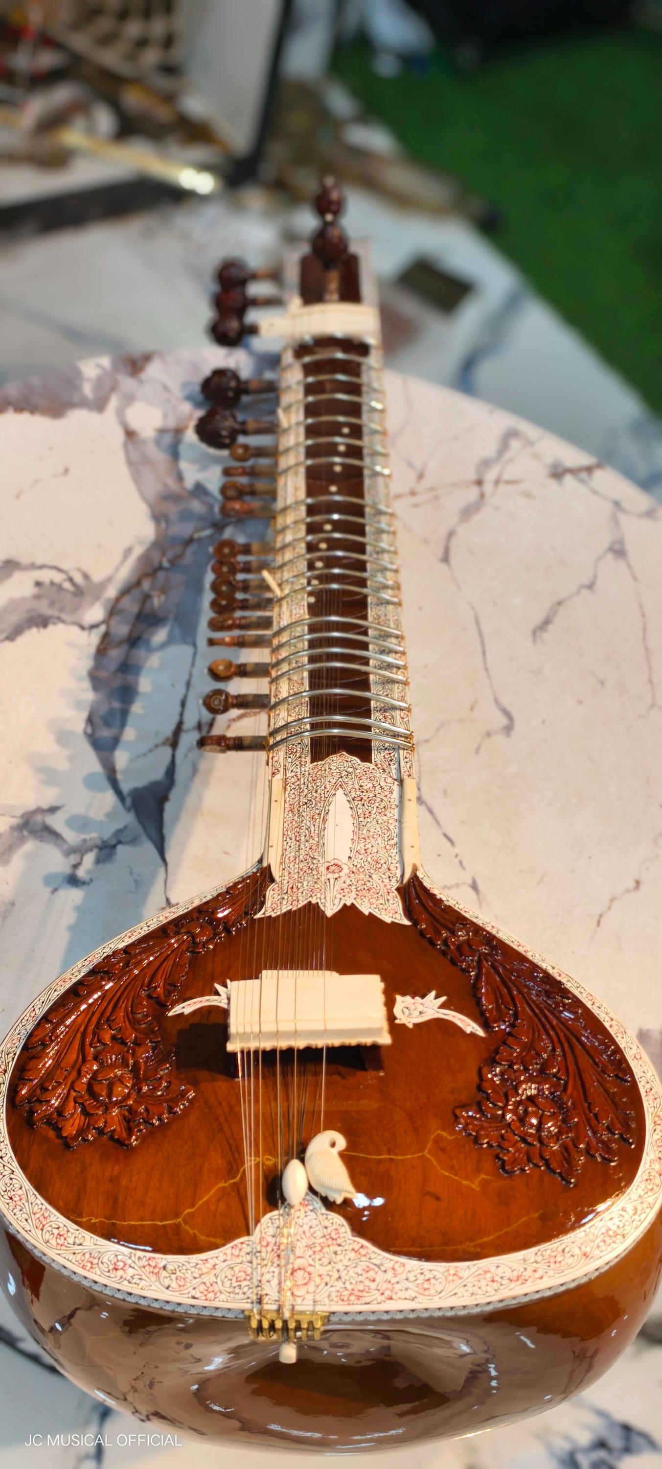 SITAR PROFESSIONAL RAVISHANKAR Style