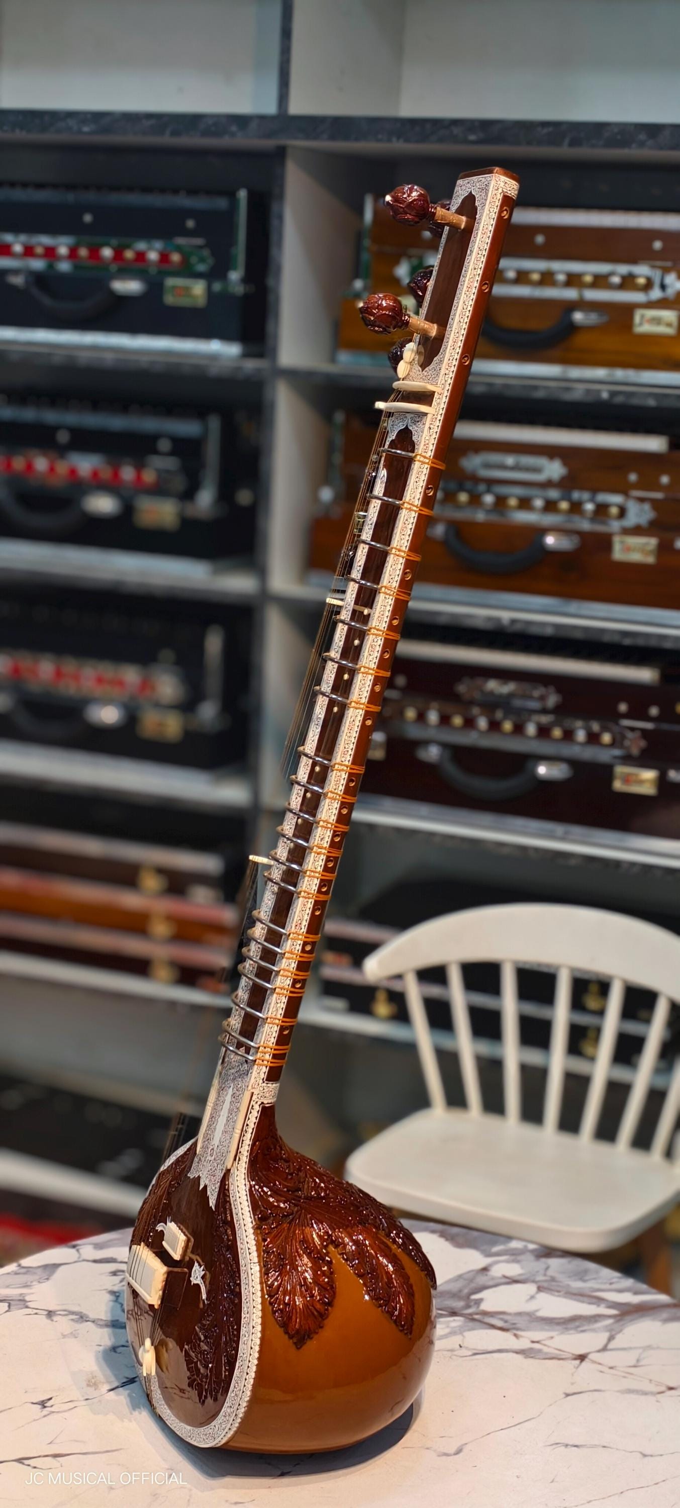 SITAR PROFESSIONAL RAVISHANKAR Style