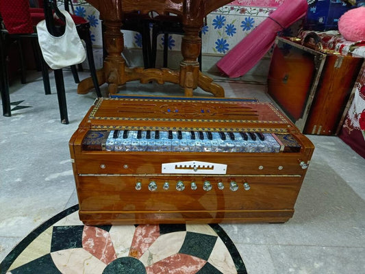 DS RAMSINGH Harmonium 9scale with design keyboard
