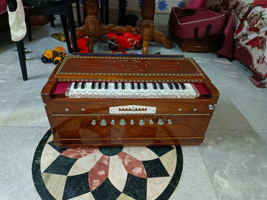 DS RAMSINGH 3Line 9Scale standard model