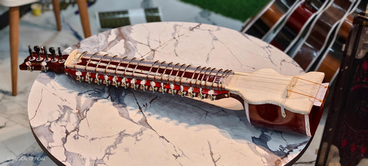 DILRUBA | PROFESSIONAL QUALITY | with Hard Case