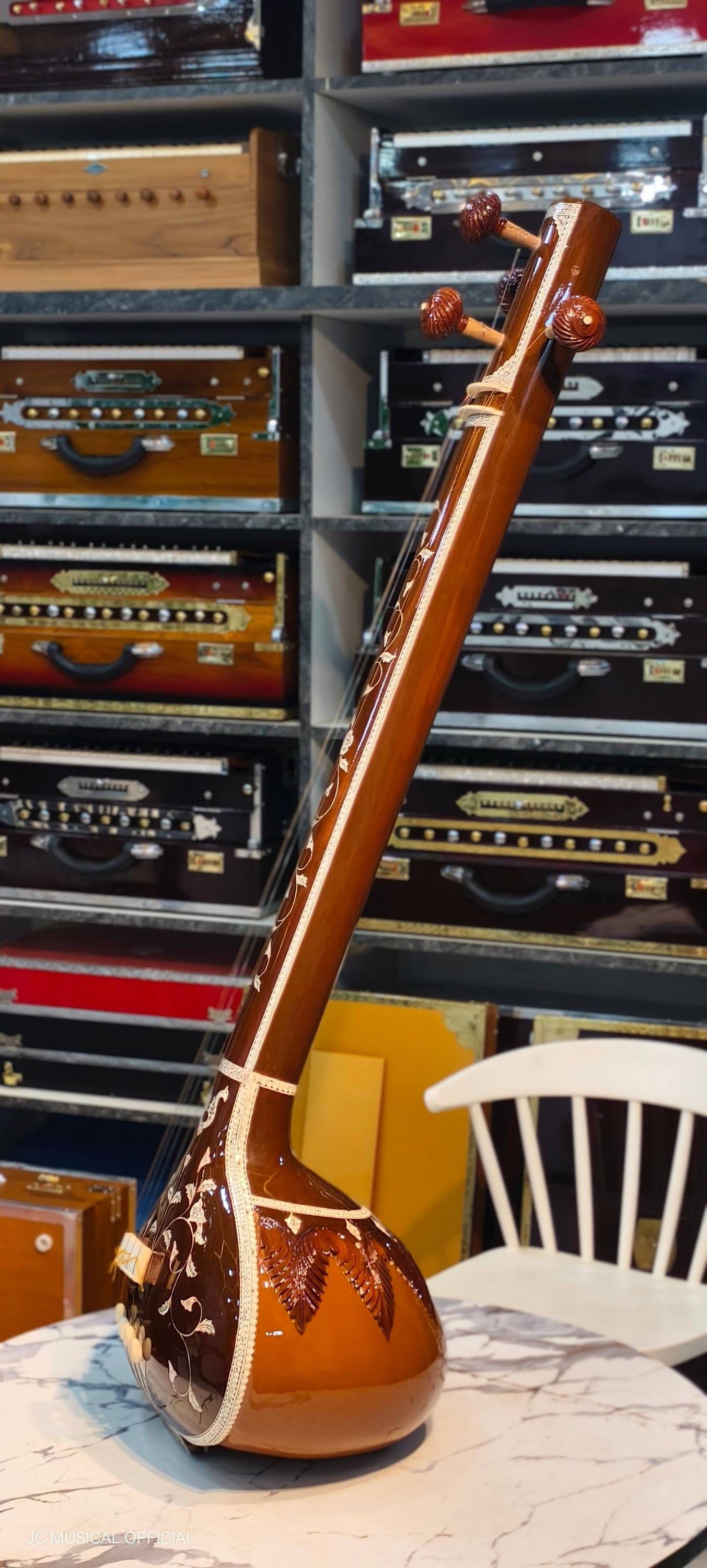 PROFESSIONAL MALE TANPURA Wity Hardcaae