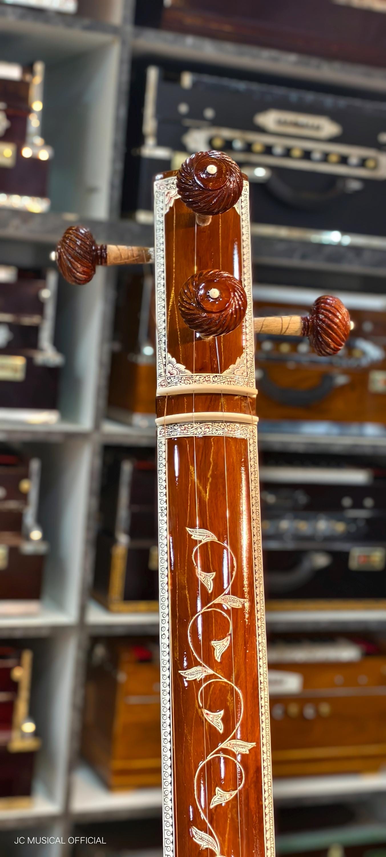 PROFESSIONAL MALE TANPURA Wity Hardcaae