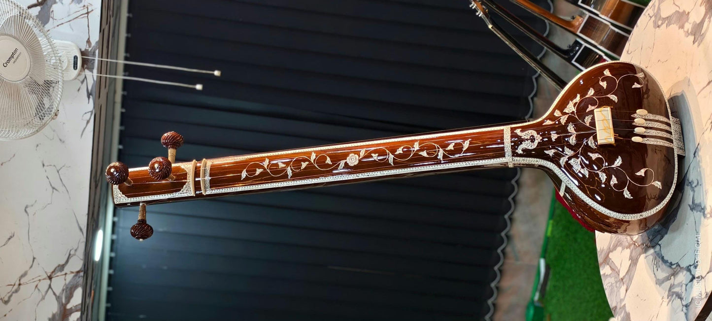 PROFESSIONAL MALE TANPURA Wity Hardcaae