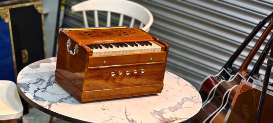 MINI HARMONIUM 2LINE Professional model standing body teakwood body glossy finish