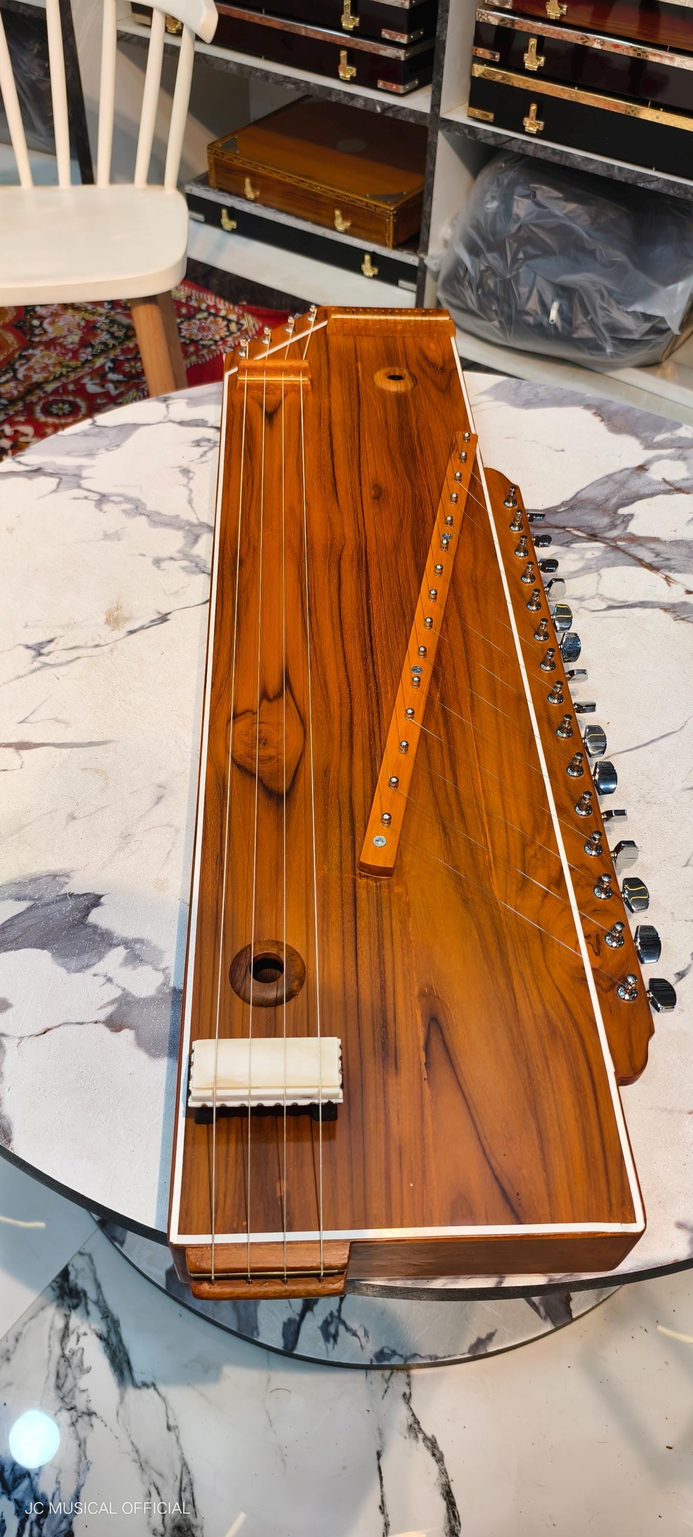 2-in-1 Swarmandal + Tanpura