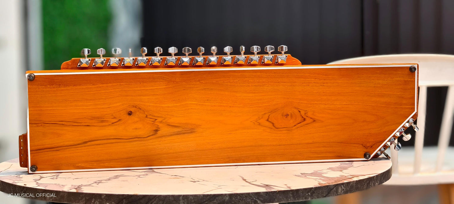 2-in-1 Swarmandal + Tanpura