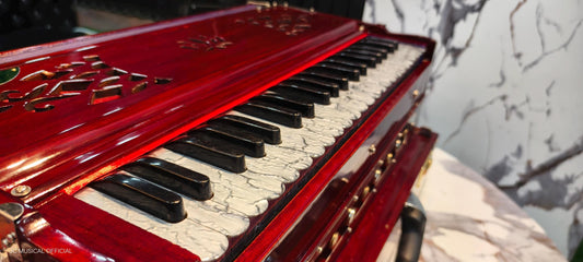 2LINE PROFESSIONAL HARMONIUM| Full season teakwood body/ Bass male 42reeds / Mahagony glossy finish