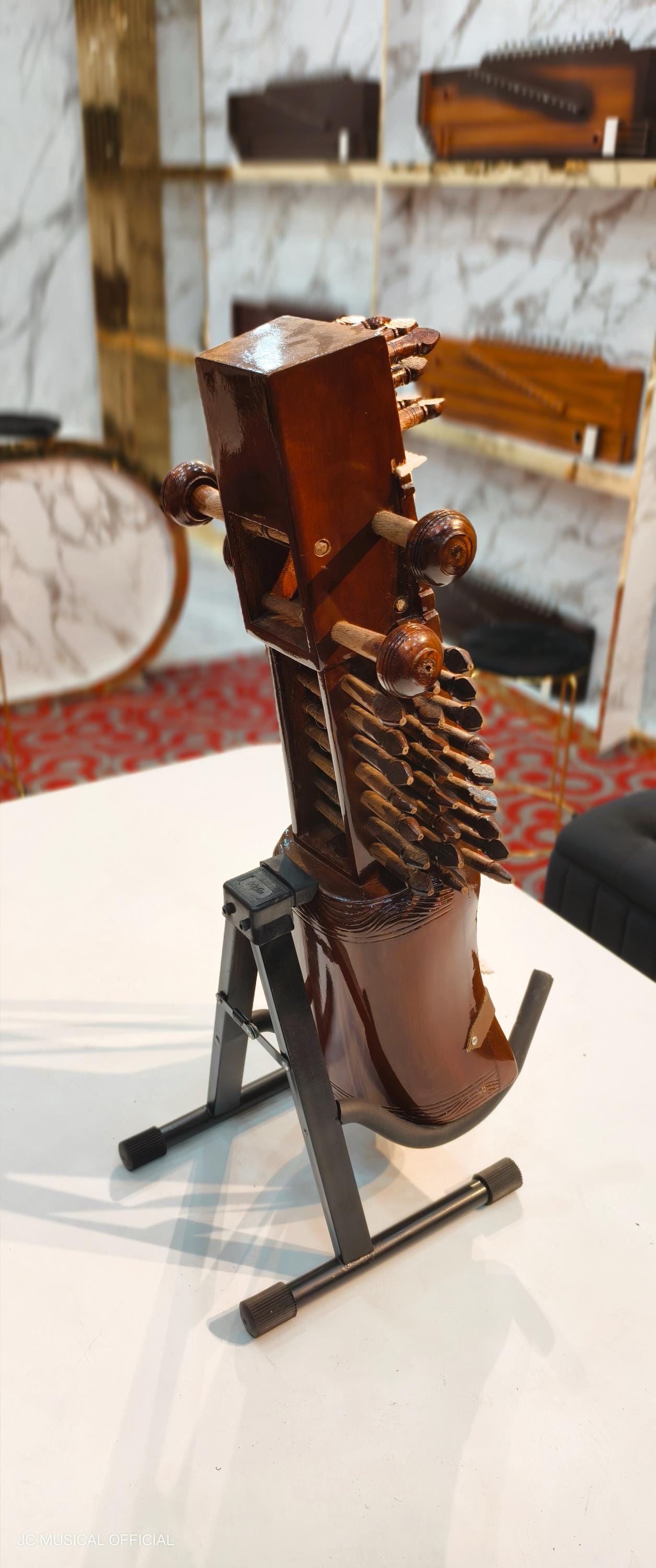 SARANGI PROFESSIONAL QUALITY/ With premium Hardcase