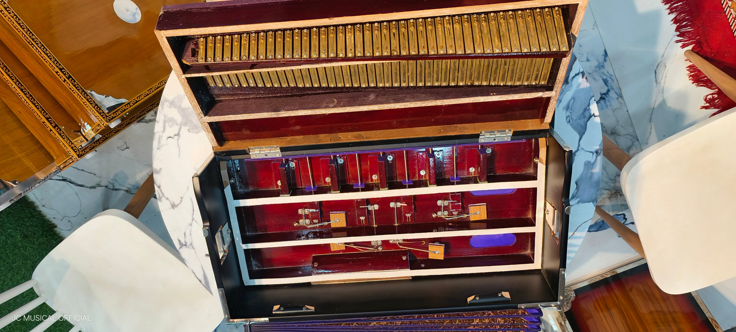 2LINE BLACK BEAUTY Harmonium 3.5 Octeve professional quality folding box type